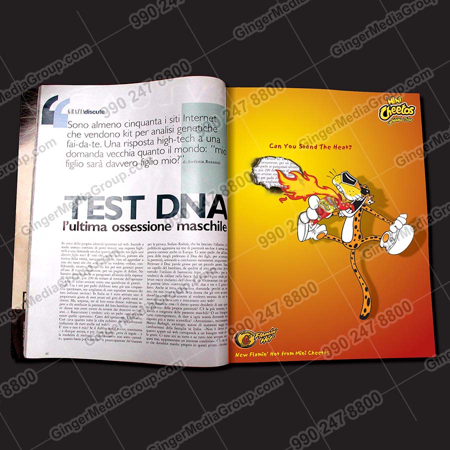 Auto Rickshaw Advertising in Rajasthan