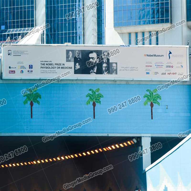 Top colors used in Auto rickshaw advertising