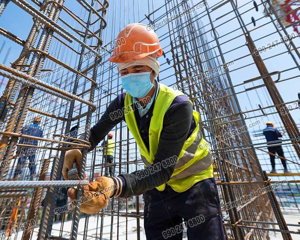 Top colors used in Auto rickshaw advertising