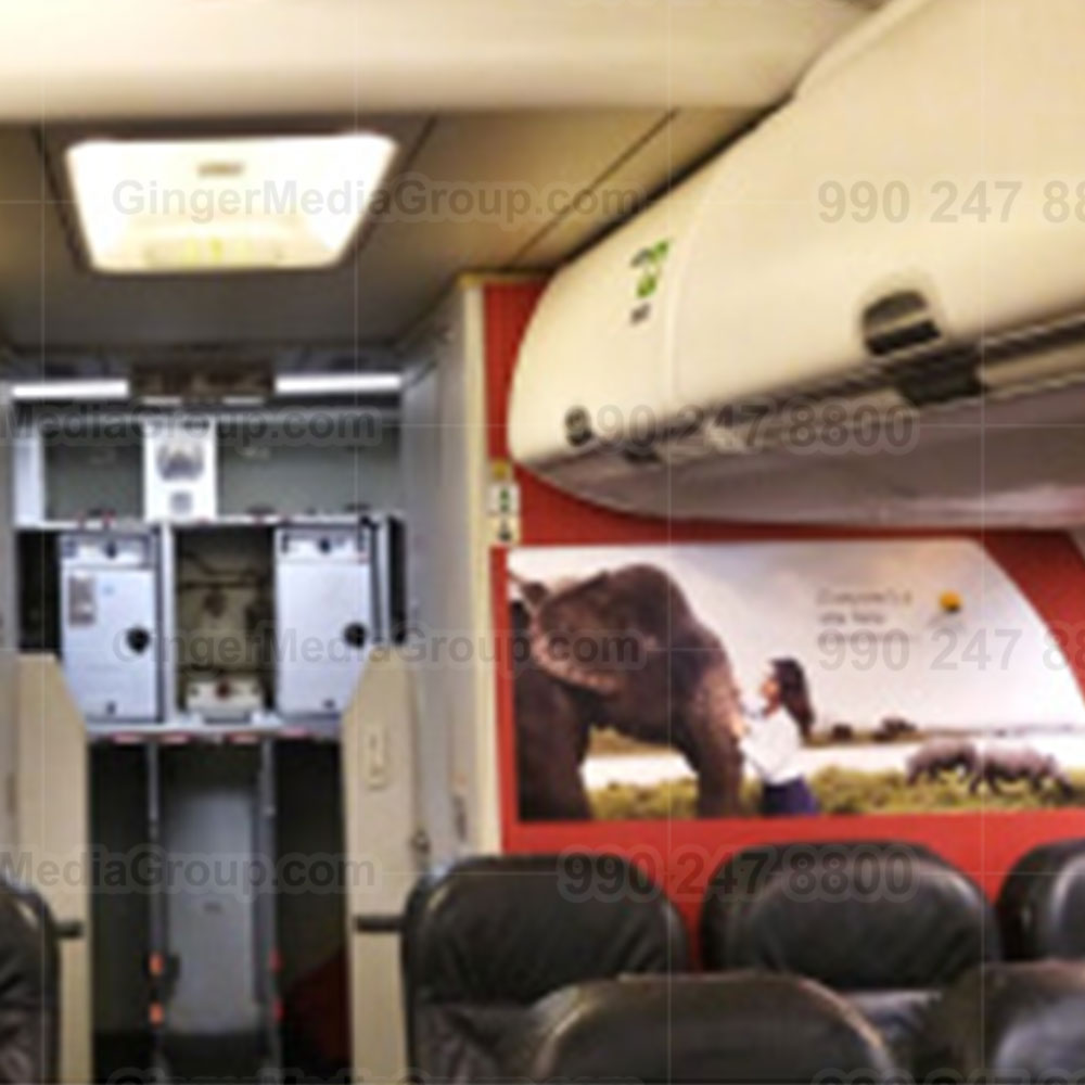 Top colors used in Auto rickshaw advertising