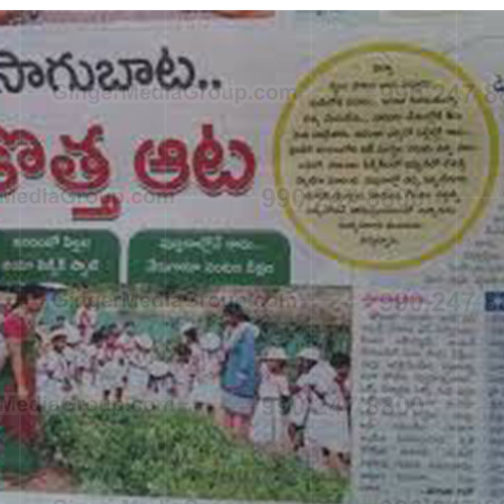 Top colors used in Auto rickshaw advertising