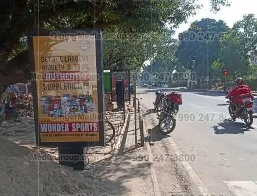 Top colors used in Auto rickshaw advertising