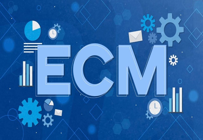 What is ECM?